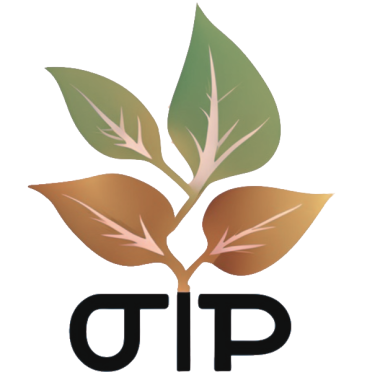 OTP-Logo-main-2